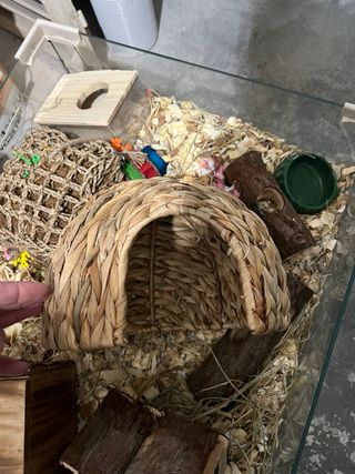 Casa para hámster y pequeños roedores