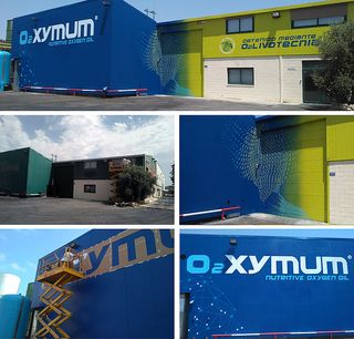 Murales artisticos y decorativos profesionales