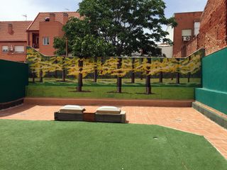 Murales artisticos y decorativos profesionales