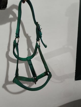 Cabezal caballo de nailon vintage