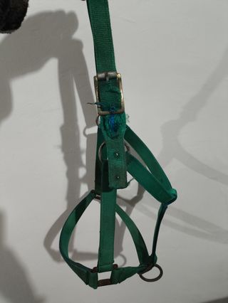 Cabezal caballo de nailon vintage