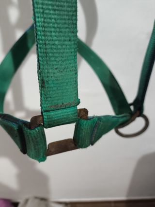 Cabezal caballo de nailon vintage