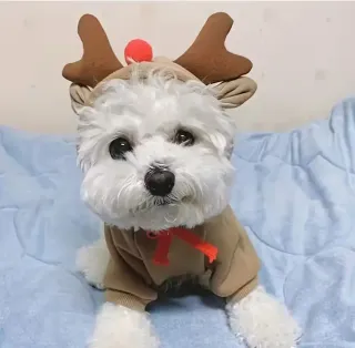 Sudadera para perro de reno XL-XXL