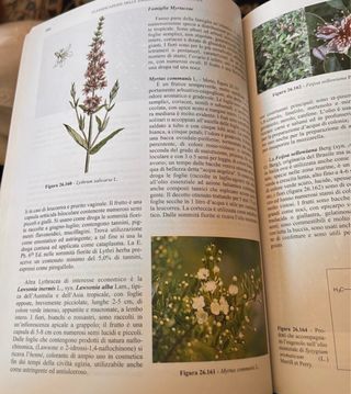 Biologia cellulare e botanica farmaceutica