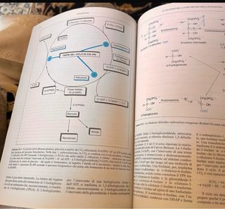 Biologia cellulare e botanica farmaceutica