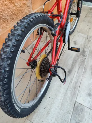 Bicicletas (2 unidades)