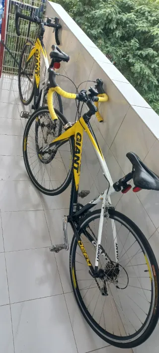 2 Bicicletas de Carretera GIANT