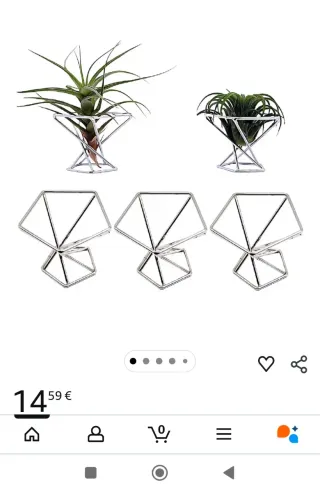 12 Soportes Metálicos para Plantas Aéreas