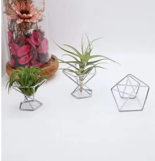 12 Soportes Metálicos para Plantas Aéreas