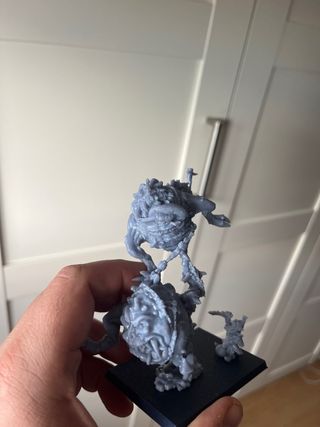 Garrapato Despachurrador Resina