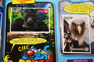 Album Figurine Amici Cucciolotti 2023 Completo