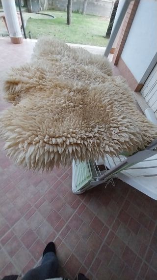 2 tappeti pecora beige lana