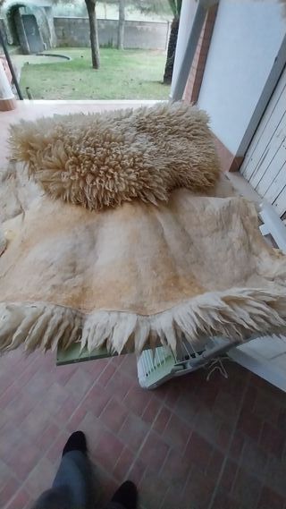 2 tappeti pecora beige lana