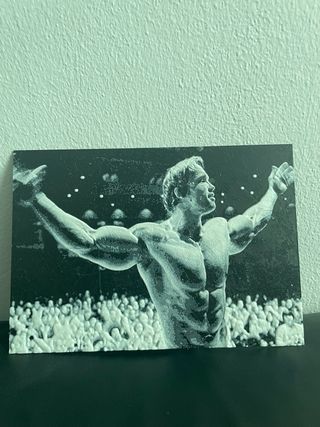 Lámina Arnold Schwarzenegger Culturismo