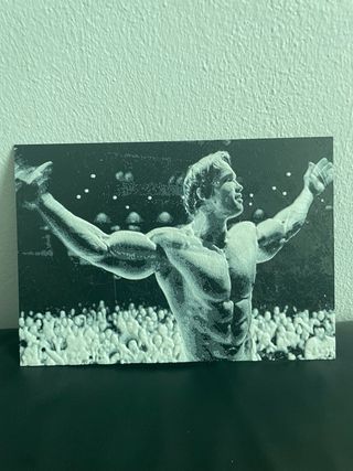 Lámina Arnold Schwarzenegger Culturismo