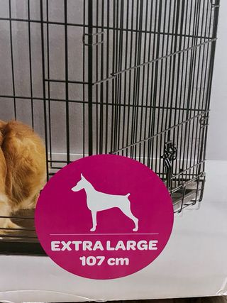 Jaula Perro Grande Nueva - Precio original 130€