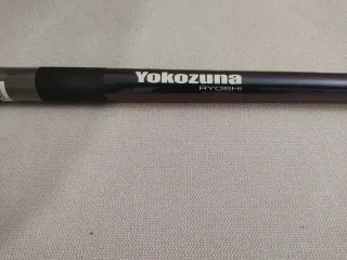 Caña de pescar Iso máster