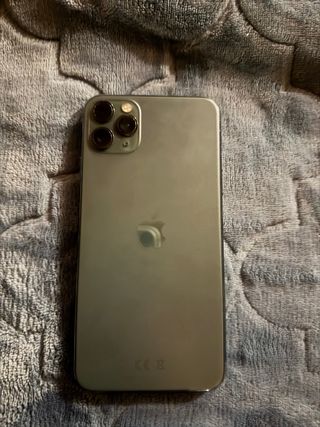 iPhone 11 Pro Max Grigio/Verde
