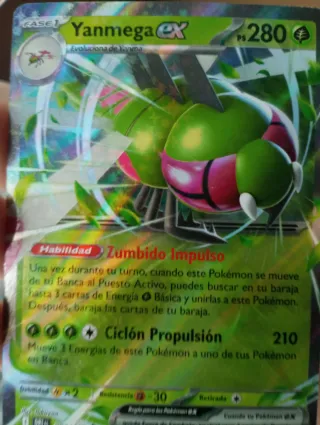 19 Cartas Pokémon Originales
