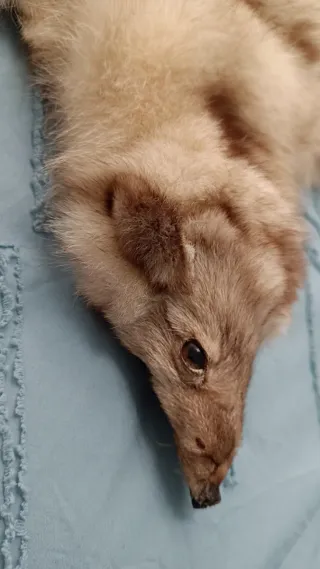 Estola de pelo beige y marrón