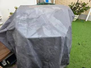 Barbacoa de gas negra y plateada