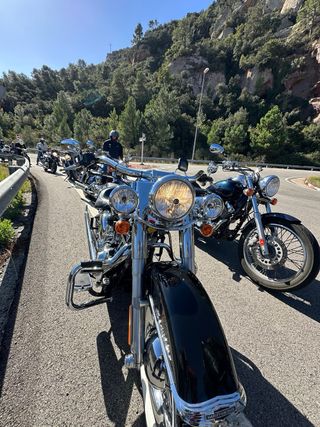 Harley Davidson Softail Deluxe 2011