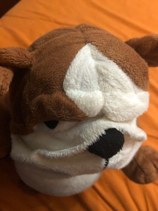 Peluche Bulldog Marrone e Bianco