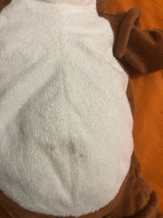 Peluche Bulldog Marrone e Bianco