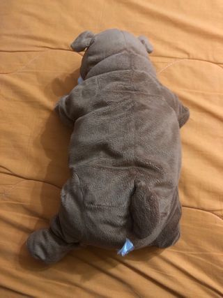 Peluche Bulldog Marrone e Bianco