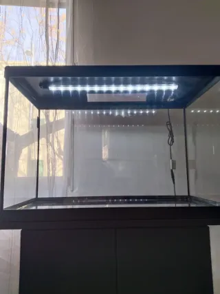 Pecera con mueble y accesorios