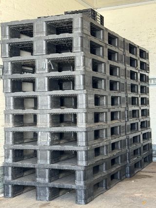 Palets de plástico resistentes