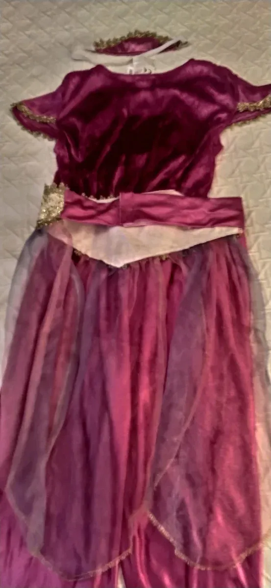 Disfraz Princesa Aladino Infantil