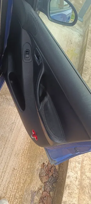 Molduras Plásticos Puerta Coche MK1