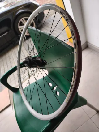 Rueda trasera de disco RODI 26 pulgadas