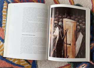 Velázquez: el pintor de la luz Editorial: LIBSA