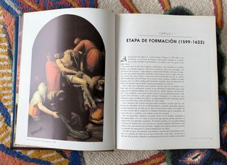 Velázquez: el pintor de la luz Editorial: LIBSA