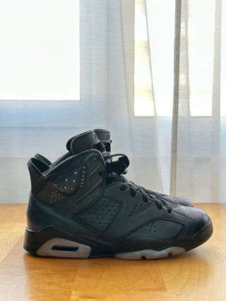 Jordan 6 All Star Chameleon
