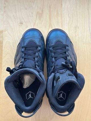 Jordan 6 All Star Chameleon