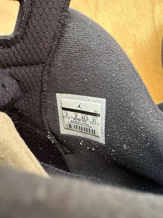 Jordan 6 All Star Chameleon