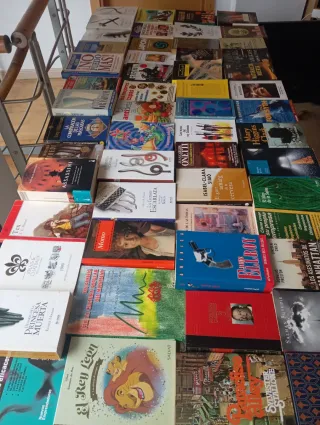Lote de libros a 1 euro x unidad