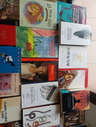 Lote de libros a 1 euro x unidad