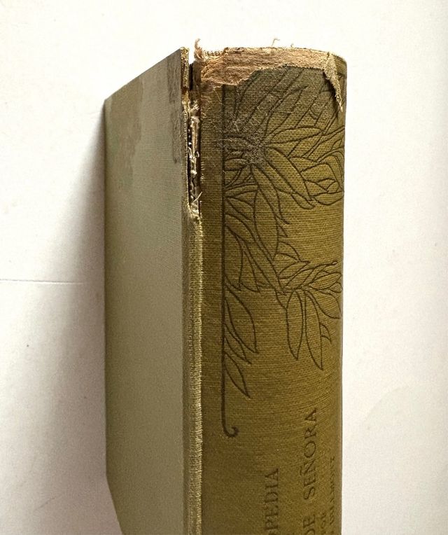 Enciclopedia Labores de Señora - Dillmont