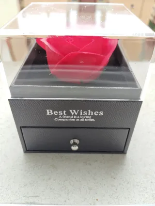 Rosa Eterna Roja en Caja Negra