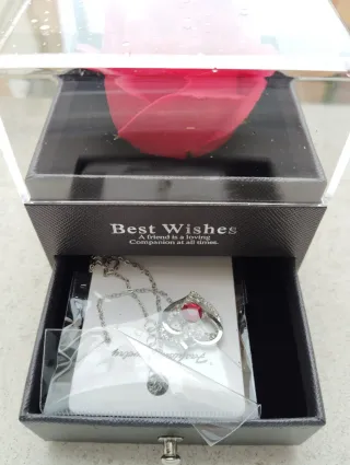 Rosa Eterna Roja en Caja Negra