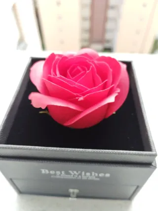 Rosa Eterna Roja en Caja Negra