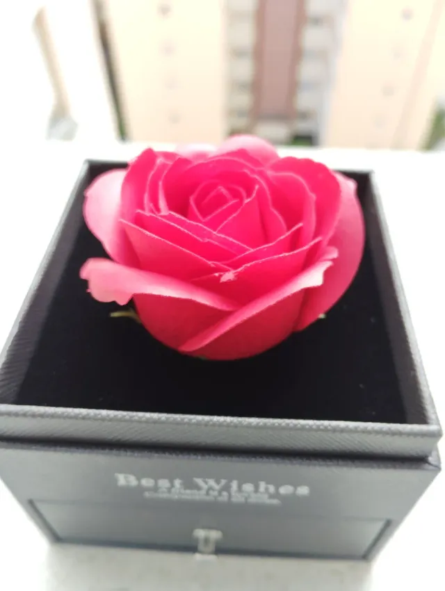 Rosa Eterna Roja en Caja Negra