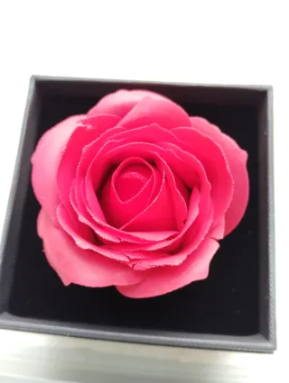 Rosa Eterna Roja en Caja Negra