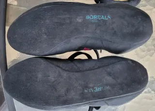 Pies de gato Boreal 39