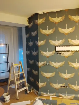 Servicios de pintura profesional613268169