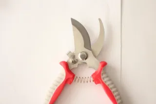 Tijeras de podar profesionales